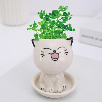 Keramikas Puķu Pods Mini Kaķis Formas Cute Karikatūra Potted Augu Darbvirsmas Podos Vārda Kaķis Augu Pot Galda Rotā Neliels Ornaments