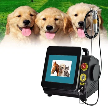 Veterinārās fizioterapijas iekārtas suns/kaķis/zirgu/lolojumdzīvnieku brūču 980nm